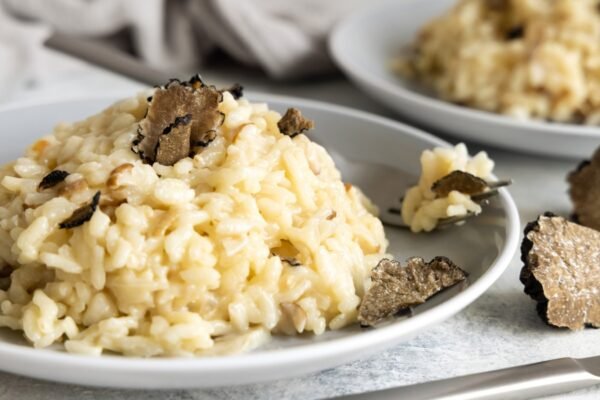 High-End Mushroom Menus Fine Dining gourmet plated dish