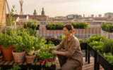 Best european vegetables for balcony plants in spring