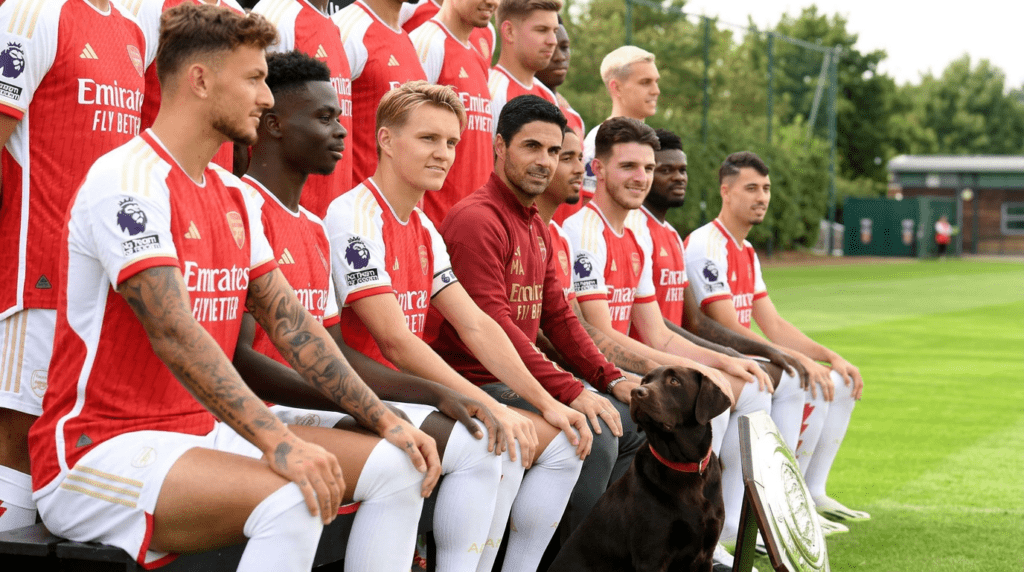 Chocolate Labrador in Arsenal Training Ground