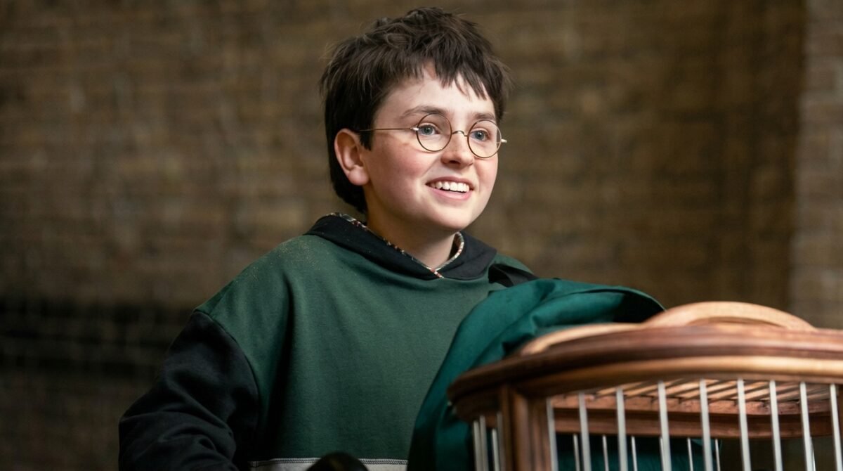 HBO Harry Potter Season 2 Casting